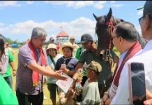 Taput Tuan Rumah Kejurnas Pacuan Kuda 2026