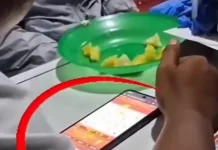 Viral Main Judol, Kepala SPPG Menangis Minta Maaf