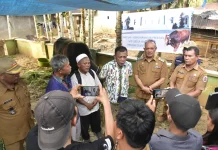 Presiden-Wapres Bantu Sapi Kurban untuk Masjid Al-Huda Hutanabolon