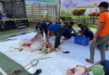 Melalui Kurban, Umat Islam Dilatih Ikhlas dan Peduli Sesama