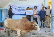 Qurban: Sarana Berbagi dan Mendekatkan Diri Kepada Ilahi