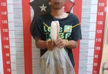 Polres Toba Tangkap Pelaku Pembakaran Rumah Mertua