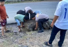 Satlantas Padangsidimpuan Tambal Bahu Jalan, Cegah Kecelakaan Truk
