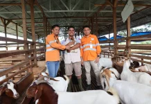 Martabe Social Enterprise Buka Peluang Ekonomi Baru Berkelanjutan