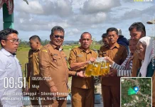 Bupati Taput Gandeng Bulog Salurkan Bantuan Pangan untuk 42.741 KK