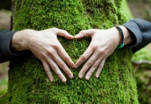 Rewilding Jadi Solusi Pemulihan Ekosistem Rusak