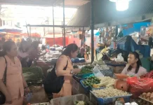 DWP BPS Toba Sosialisasikan Sensus Ekonomi di Pasar
