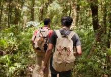 Jangan Salah Sebut, Ini Perbedaan Hiking dan Trekking
