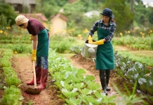 Petani Butuh Dukungan Nyata Demi Ketahanan Pangan Nasional