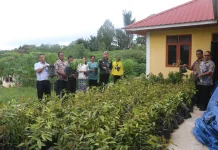 Pemkab Taput Dorong Sektor Pertanian Produktif