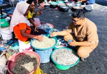 Sistem Pangan Biru dan Jalan Baru Ketahanan Pangan Kepesisiran Sumatera