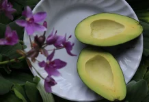 Ingin Diet Berhasil, Coba Konsumsi Alpukat