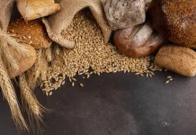 Whole Grain Jadi Pilihan Pengganti Nasi