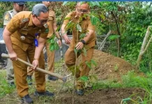 Sekda Padangsidimpuan Hadiri Penanaman Pohon Serentak Kodam I/Bukit Barisan