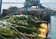 Memanfaatkan Rumpon agar Biota Laut Tetap Lestari