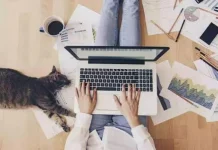 Bekerja tanpa Kantor, Tren di Era Digital