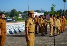 Wabup Toba Minta ASN Imbangi Efisiensi Dengan Hadir di tengah Masyarakat