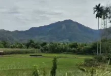 Petani Tapteng Keluhkan Pupuk Subsidi dan Pemasaran