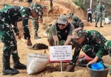 DPN Tanam Pohon di Wilayah Pascabencana Tapteng