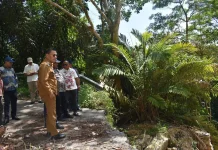 Pemko Sibolga Apresiasi Rencana Pembangunan LPJU di Jalur Provinsi