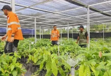 PTAR Kembangkan Program Martabe Cocoa di Tapsel