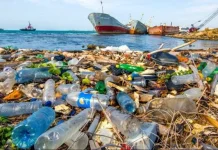 Sampah di Lautan Masalah Lingkungan yang Semakin Mendesak