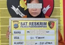 Tipu 51 Orang Modus Investasi Bodong, Wanita di Padangsidimpuan Ditangkap Polisi