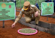Komoditi Kopi Merupakan Andalan dan Sumber Pendapatan Petani Humbahas