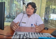 Hutan Bakau, Pelindung Alam di Kawasan Pesisir