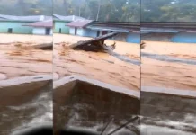 Tanggul Jebol, Banjir dan Gelondongan Kayu di Tapteng Buat Warga Panik