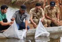 Benih dan Pakan Ikan untuk Pokdakan Tapsel Disalurkan