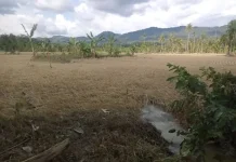 Kementan Gelontorkan Bantuan Pengolahan Lahan untuk Koptan di Taput