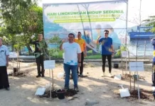 Lingkungan Hidup Sedunia, Pelindo Sibolga Tanam 150 Pohon