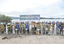 Wabup Tapteng Turut Taman Bibit Mangrove dalam Latma Pacific Partnership 2026