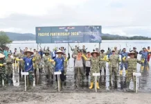 Wabup Tapteng Tanam 2.000 Bibit Mangrove Bersama TNI AL dan US Pacific Fleet