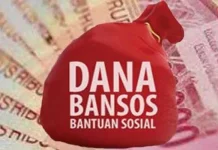 Peran Pemerintah Desa Tenentukan Penyaluran Bantuan Tepat Sasaran