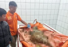 Kerangka Manusia Diduga Korban Bencana Tapteng Ditemukan Warga