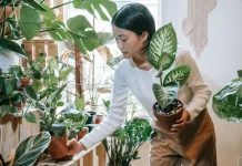 Penat Melanda, Hobi Jadi Pelepas Stres