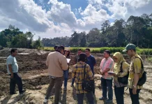 Sinergi Pulihkan 207 Hektar Sawah Pascabencana di Humbahas