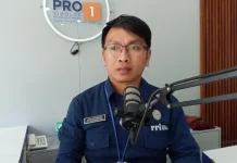 Hutan Bakau Benteng Pesisir Hadapi Ancaman Perubahan Iklim Serius Kini