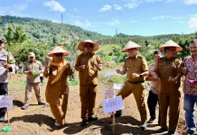 Pemkab Tapanuli Selatan dan Pemprov Sumut Tanam Perdana Bawang Merah di Huntara Ae
