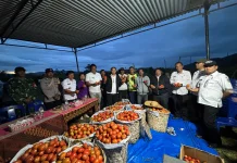 Panen Perdana 40 Ton Tomat, BUMDes Sisordak Jadi Inspirasi Desa
