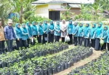 TP PKK Padangsidimpuan Matangkan Huta Padang Hadapi Evaluasi PKK Sumut