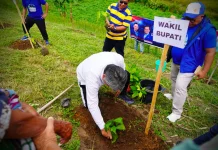 Pemkab Taput Bersama DPC Partai Demokrat Gelar Gotong Royong dan Tanam Pohon