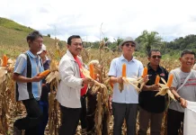 Bupati Tapsel: Jangan Ada Lagi Lahan Pertanian Menganggur