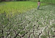 Perubahan Iklim Akibatkan Kekeringan dan Krisis Air Bersih
