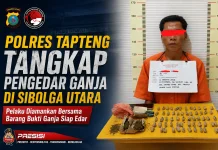 Polres Tapteng Tangkap Pengedar Ganja di Sibolga Utara