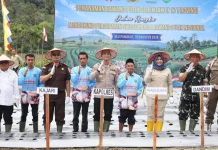 Wabup Madina Ikut Tanam Bawang Putih Dukung Swasembada Pangan