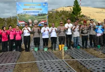 Bupati dan Kapolres Humbahas Laksanakan Penanaman Bawang Putih Serentak