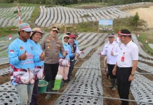 Ketahanan Pangan Diperkuat, Polres Humbahas Tanam Bawang Putih Serentak